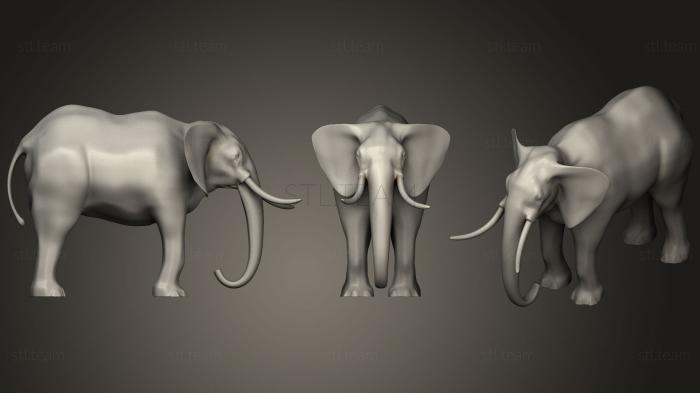 3D model Elephant6 (STL)